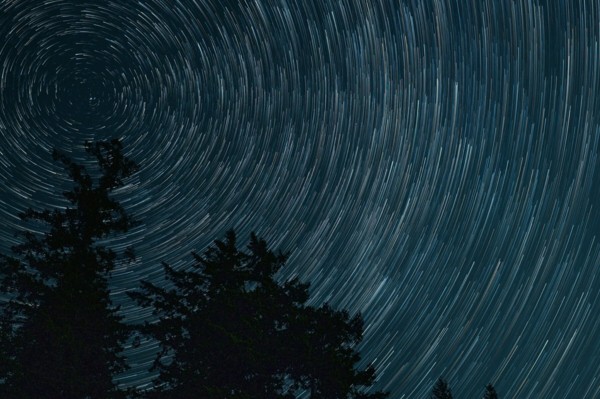 Long-exposure star trails circling above a dark forest